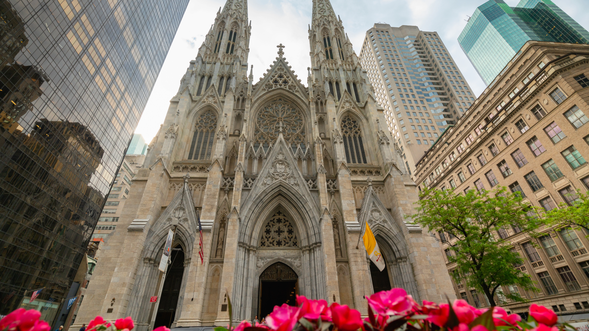 Tour Privado Alto y Bajo Manhattan - Imagen 10