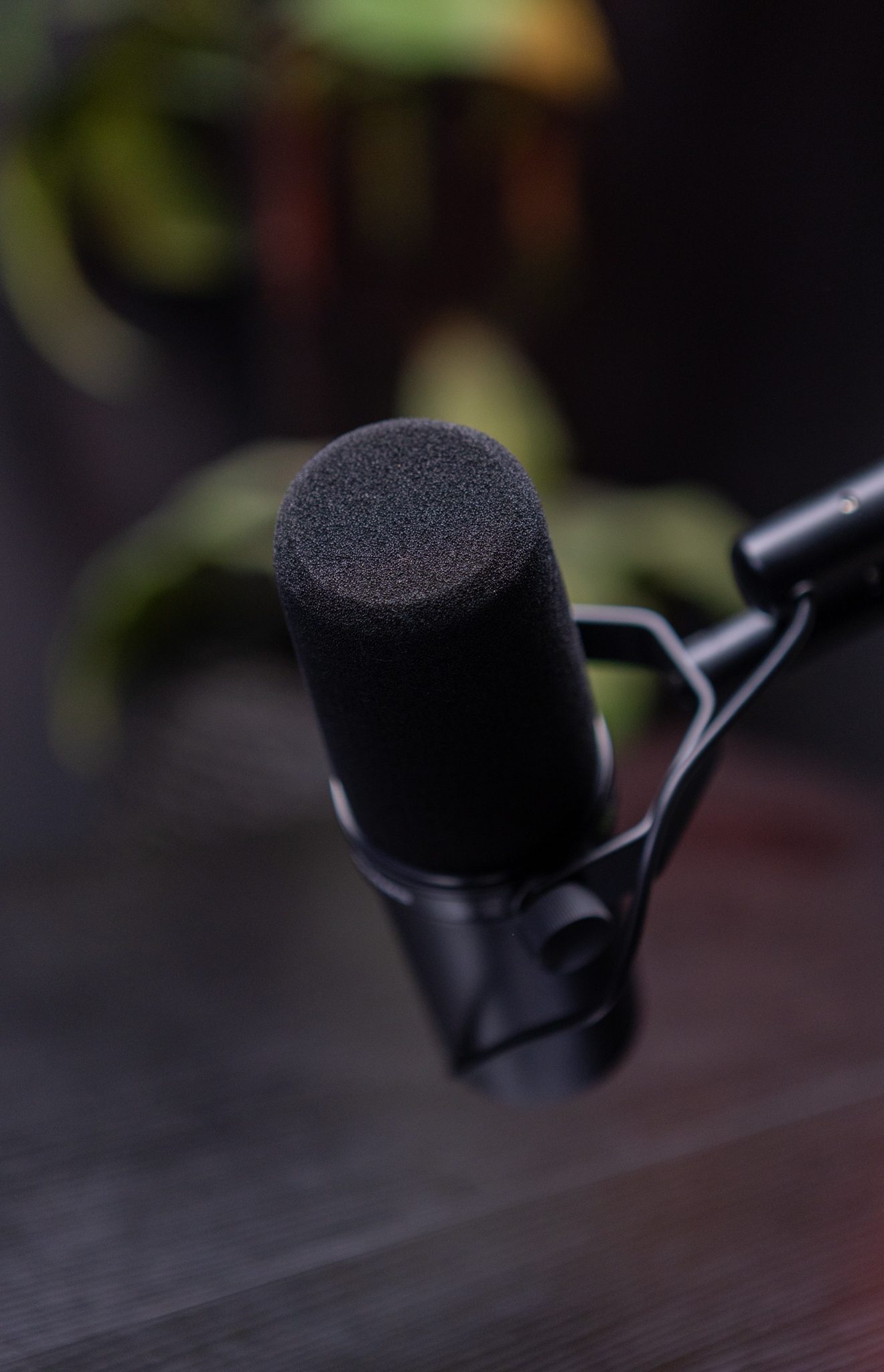 BLP Creative Studio - professional podcast microphone