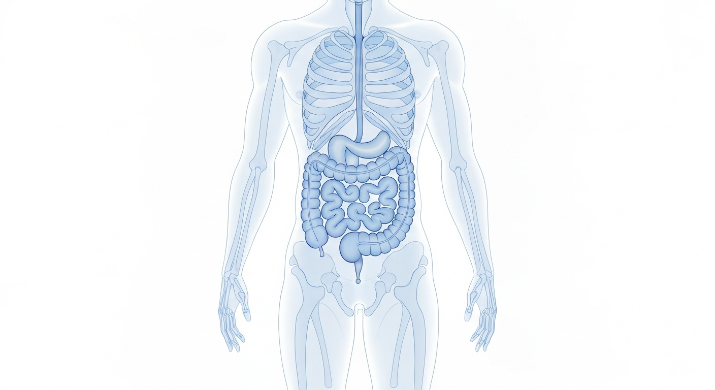 Colon Hydrotherapy Background