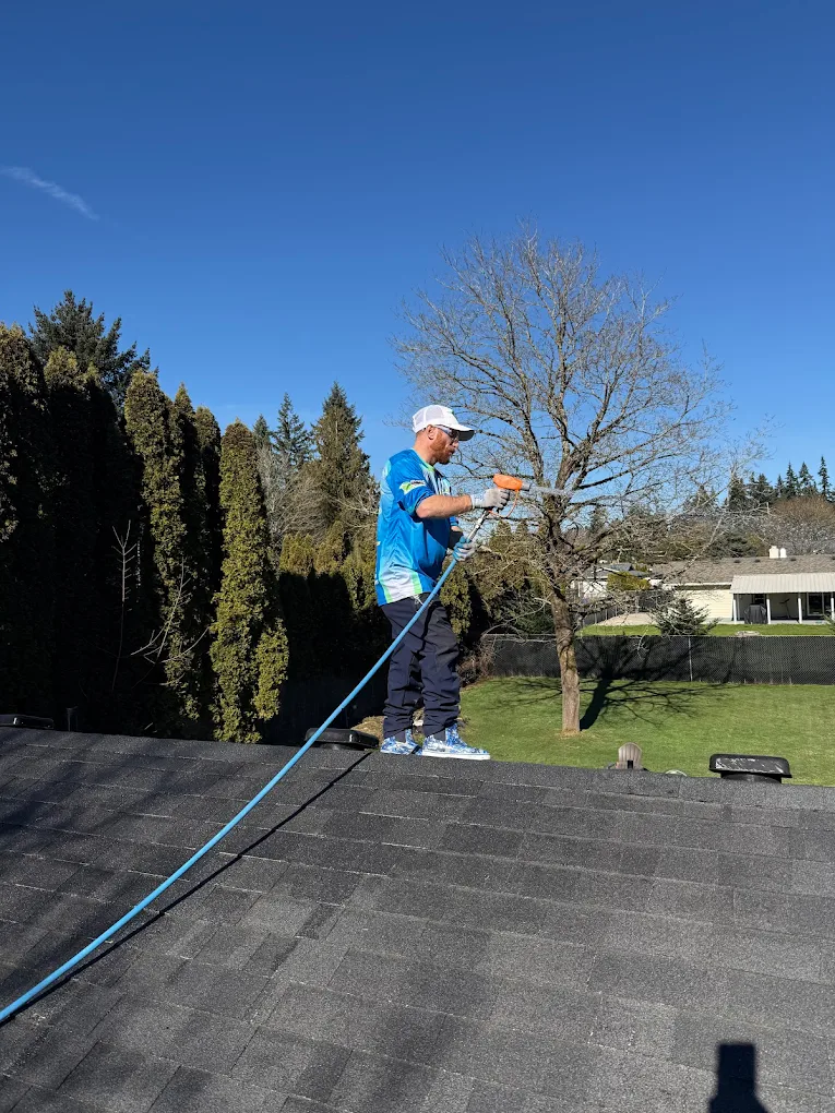 Exterior Cleaning & Pressure Washing in Vancouver, WA details