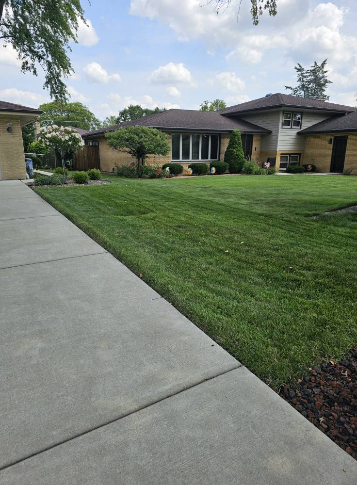 Lawn Care in Chicago Ridge, IL — Reliable Lawn Care Company