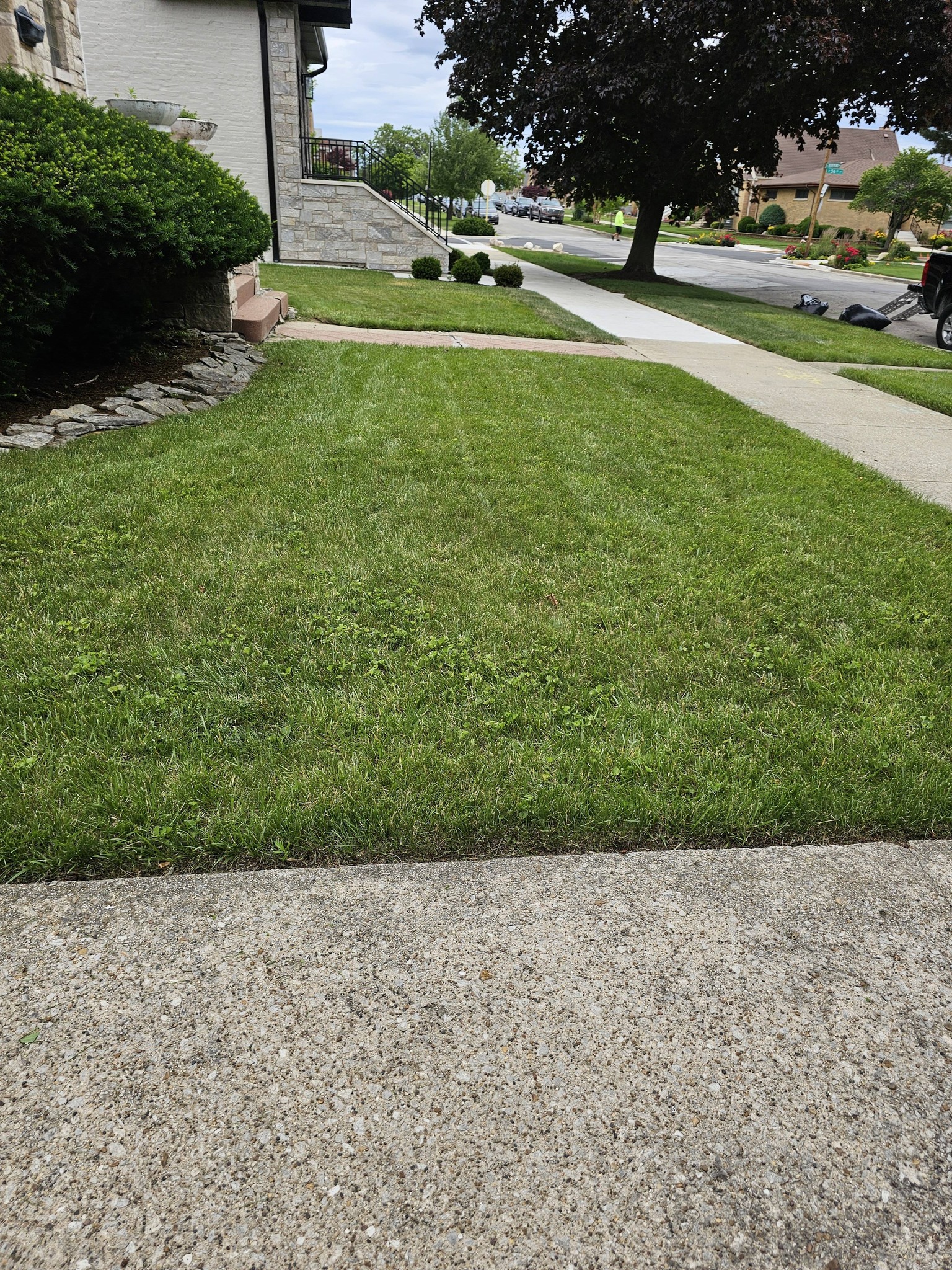 Lawn Care in Hickory Hills, IL — Reliable Lawn Care Company
