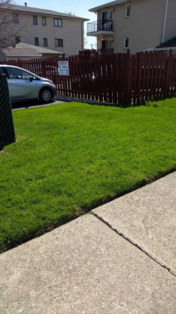 Lawn Care in Bridgeview, IL — Reliable Lawn Care Company