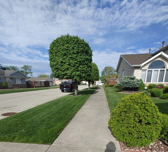 Lawn Care in Darien, IL — Reliable Lawn Care Company