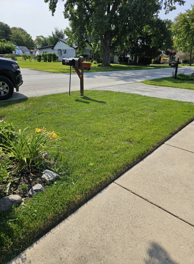 Lawn Maintenance in Worth, IL — Reliable Lawn Care Company