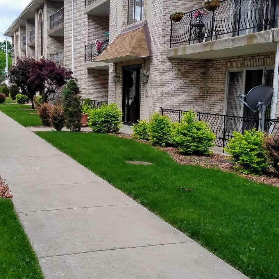 Hedge & Shrub Trimming in Chicago Ridge, IL — Reliable Lawn Care Company