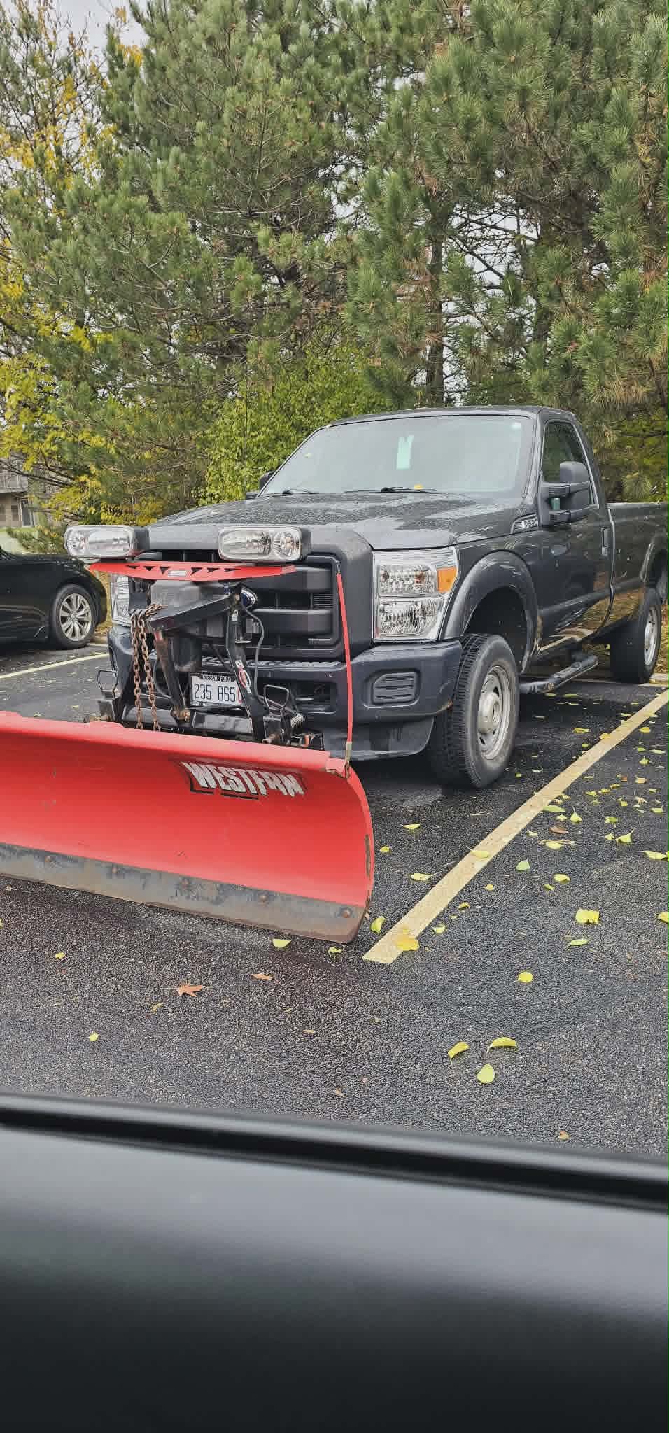 Lawn Maintenance in Chicago Ridge, IL — Reliable Lawn Care Company