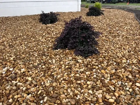 Freshly installed rock bed with plants