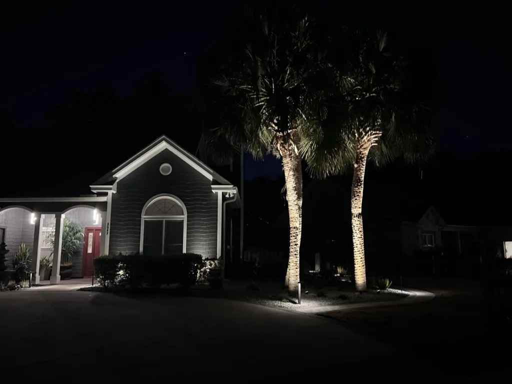 Palm trees highlighted with outdoor uplighting