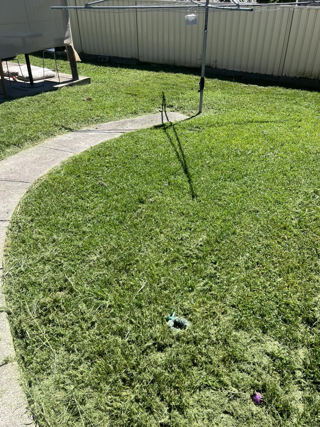 Lawn maintenance work example 1