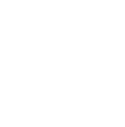 Corporate Vision 2025