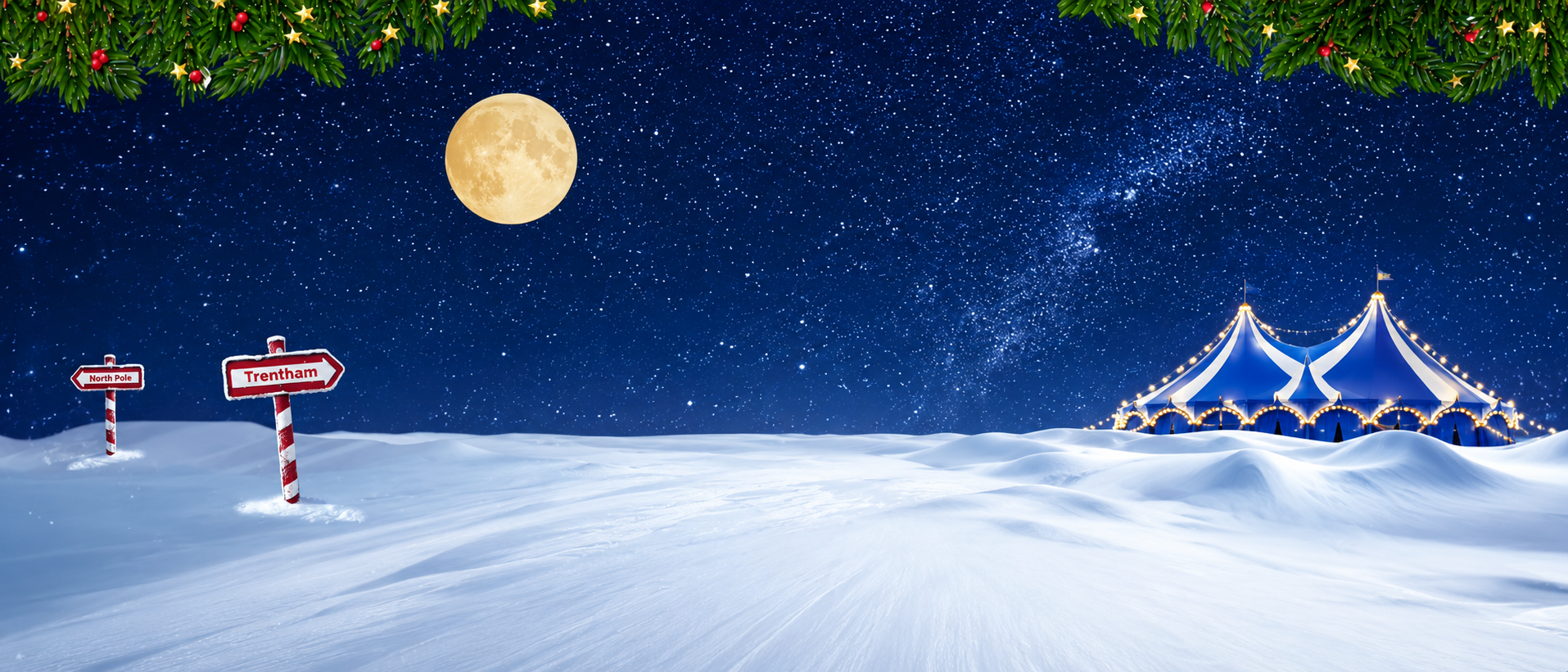 Winter Night Sky
