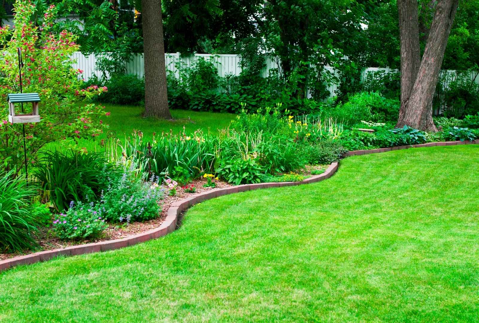 Lawn care services in Holley