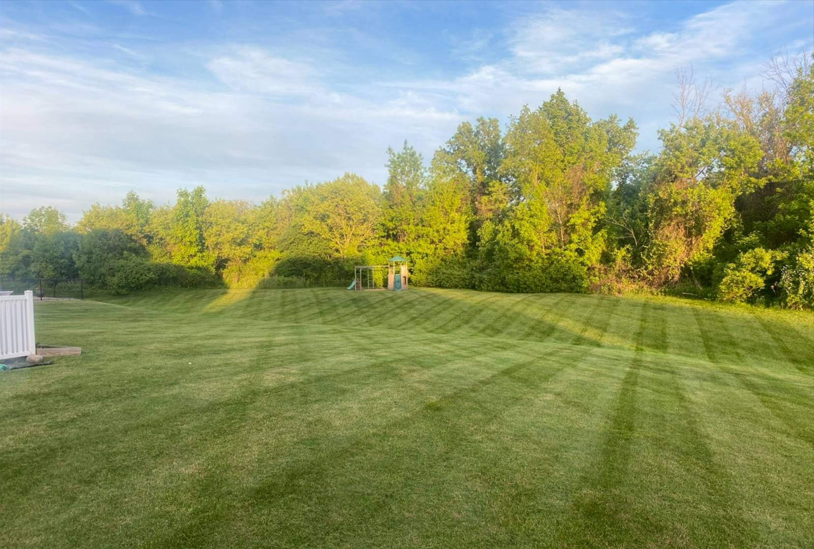 Lawn care project 1