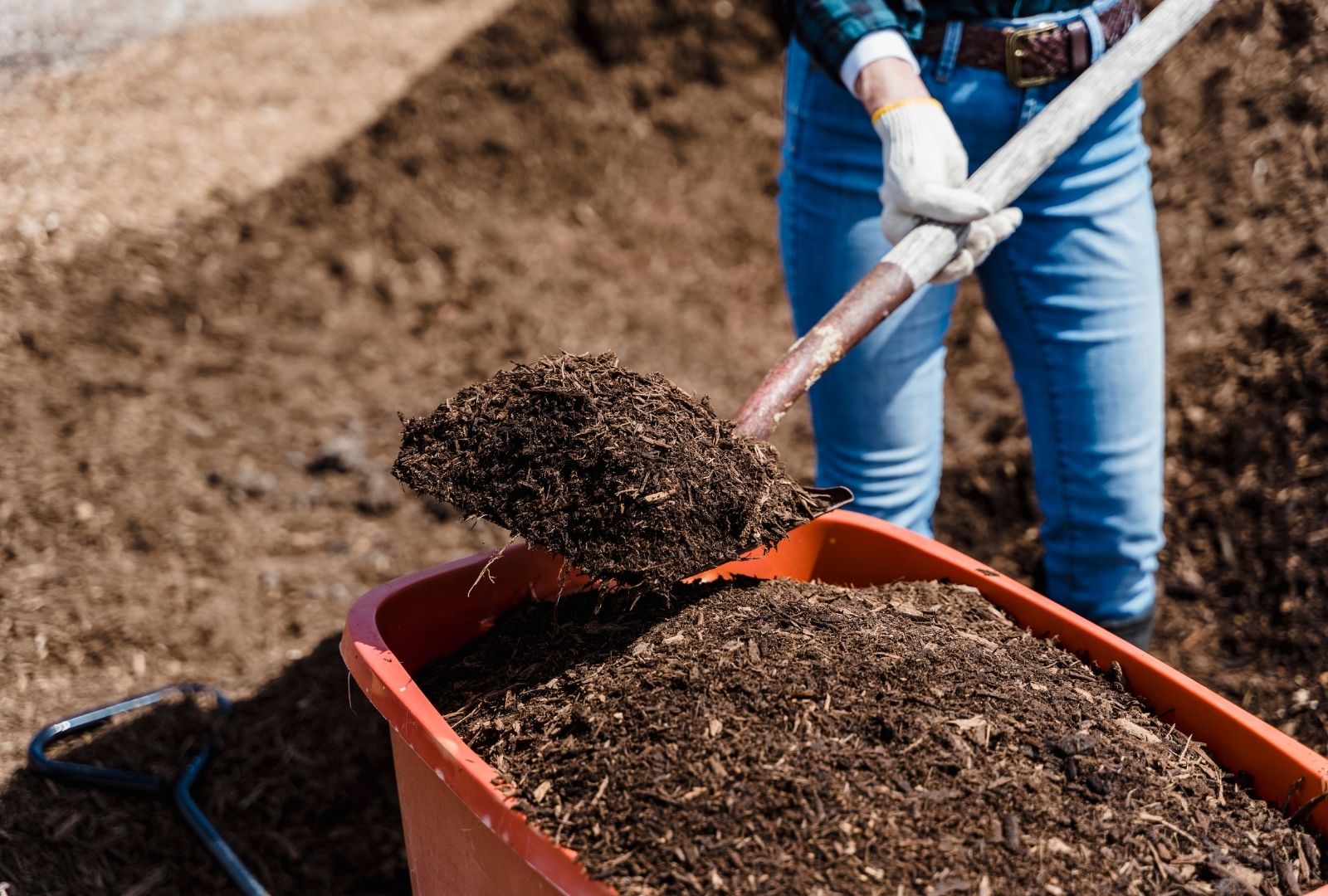 Choosing the Right Mulch