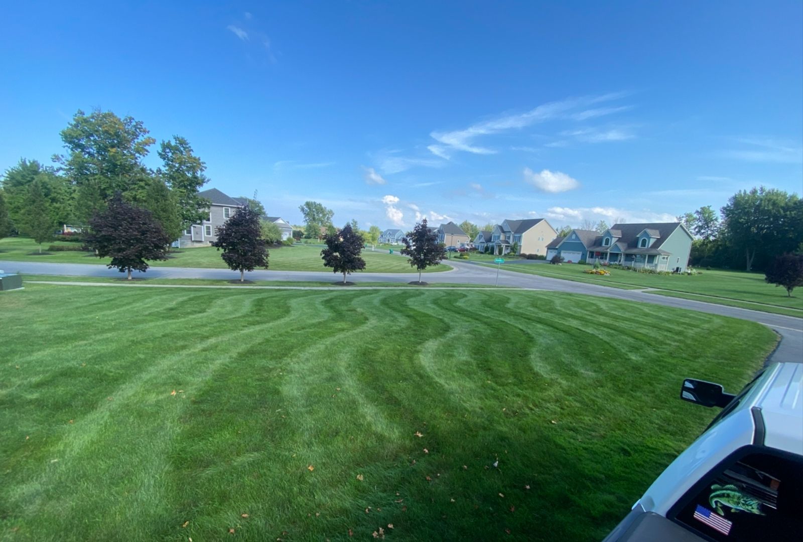 Lawn care project 2