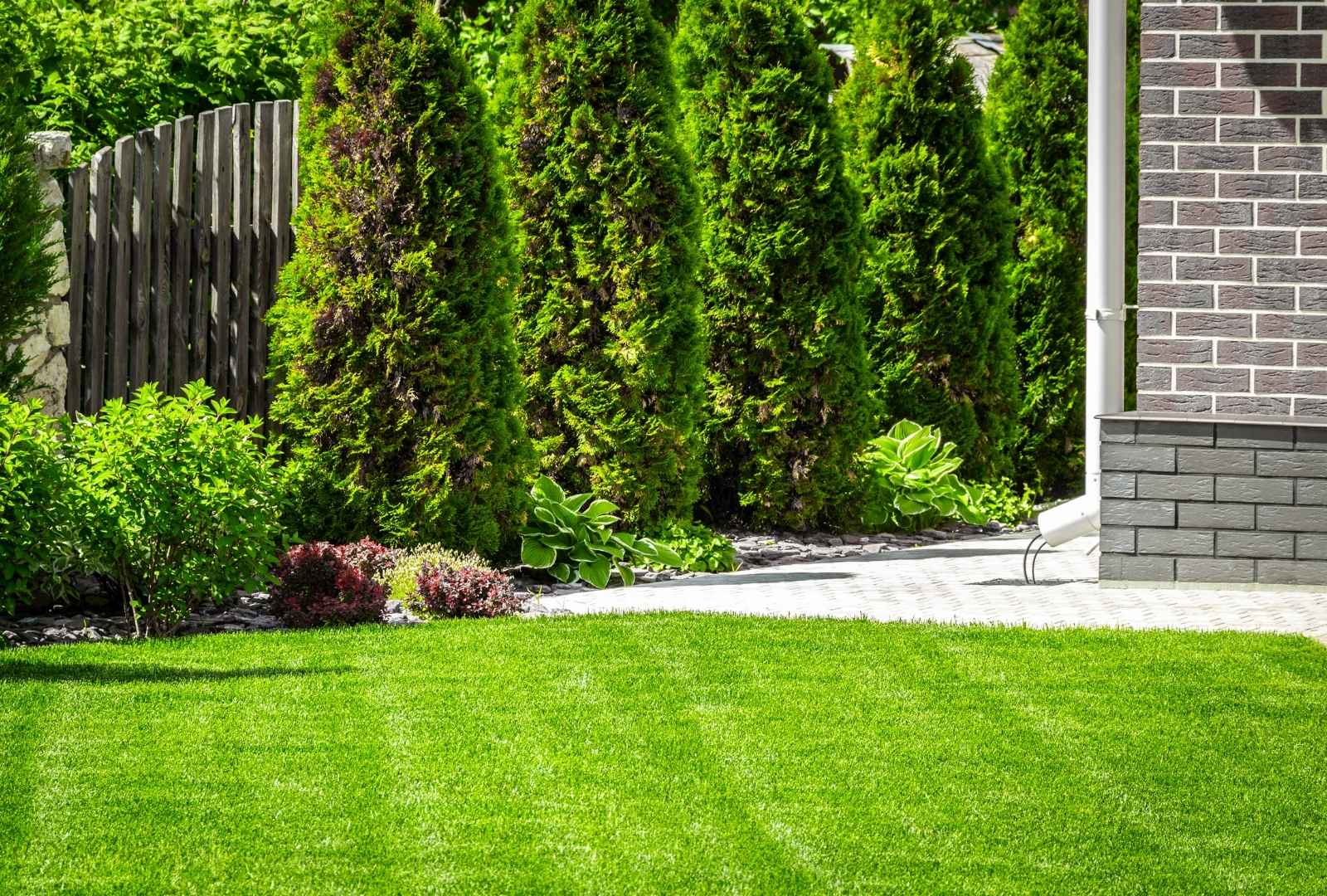 Lawn care services in Hamlin