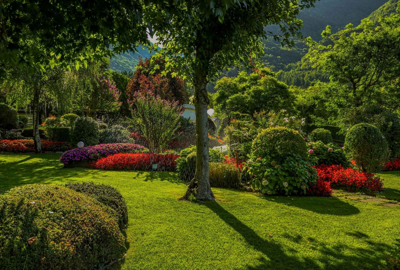 Lawn care services in Clarkson