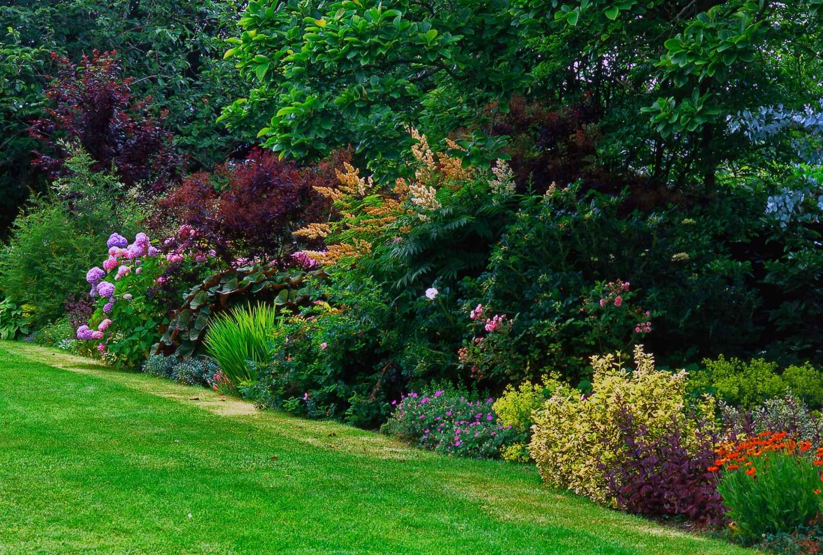 Lawn care services in Spencerport