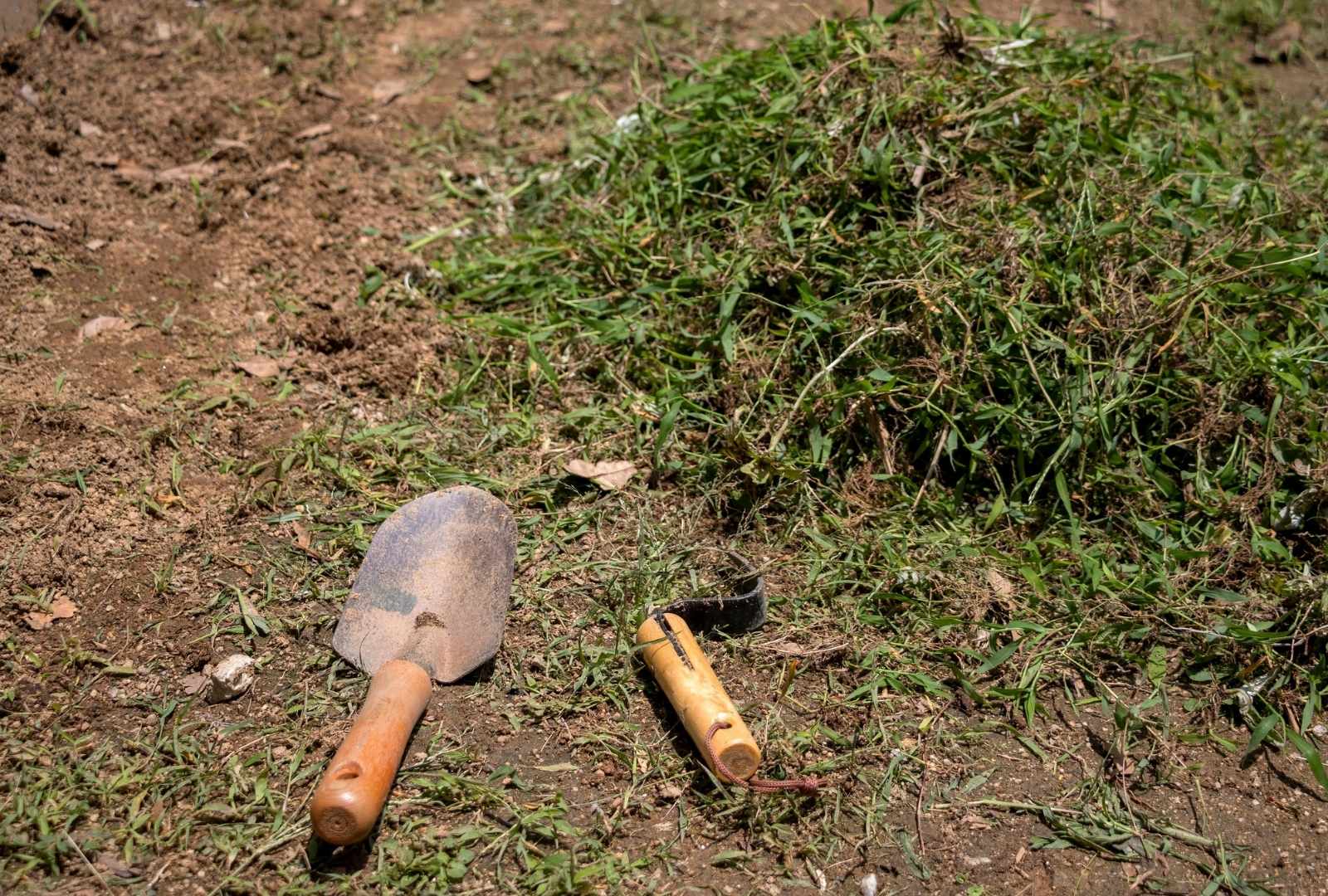 How to Prevent Weeds Before They Start