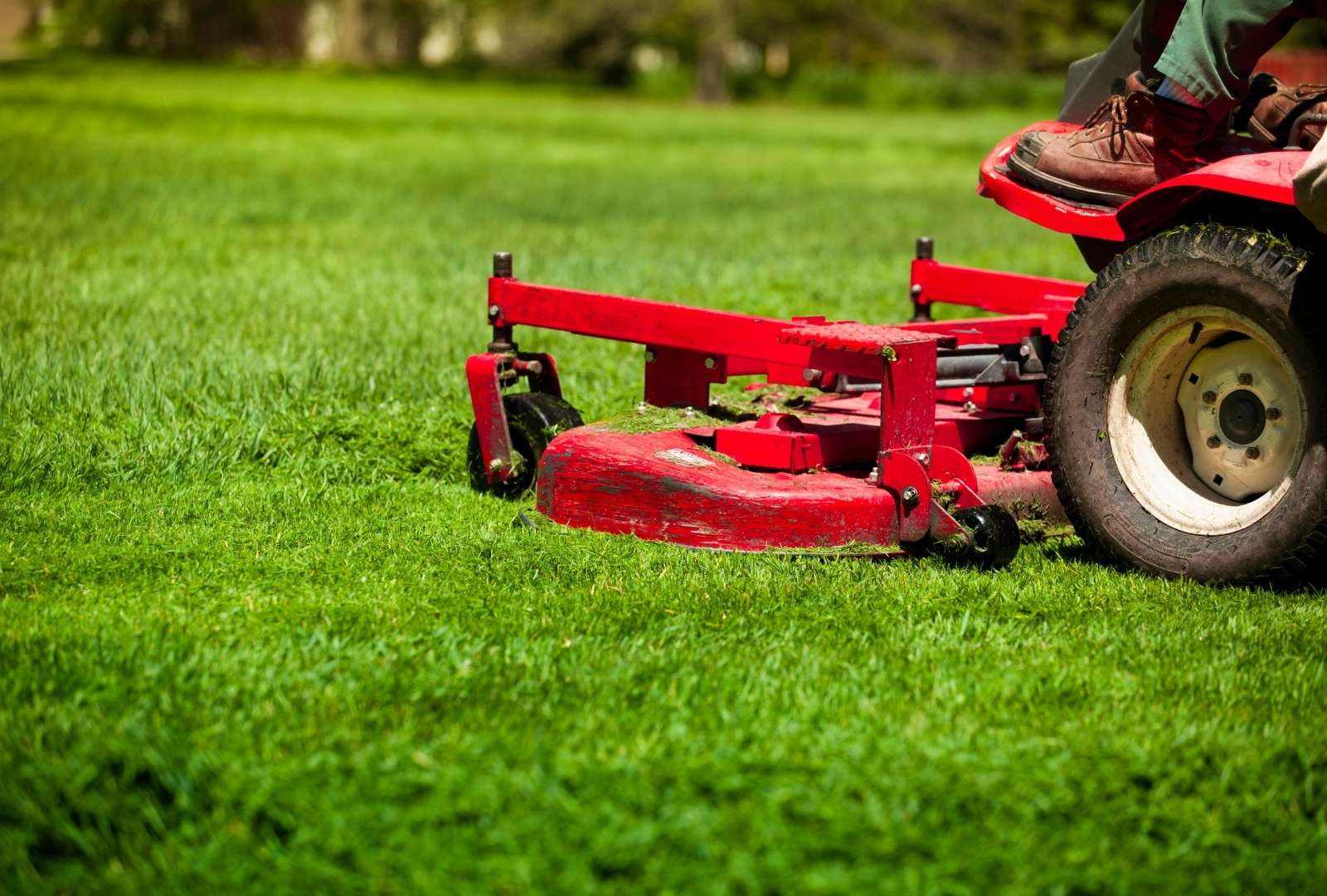 Lawn care services in Brockport