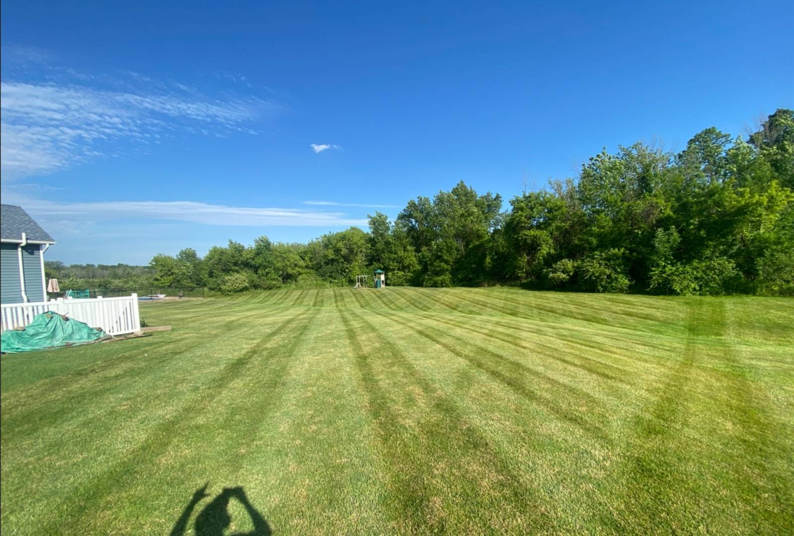 Lawn care project 3