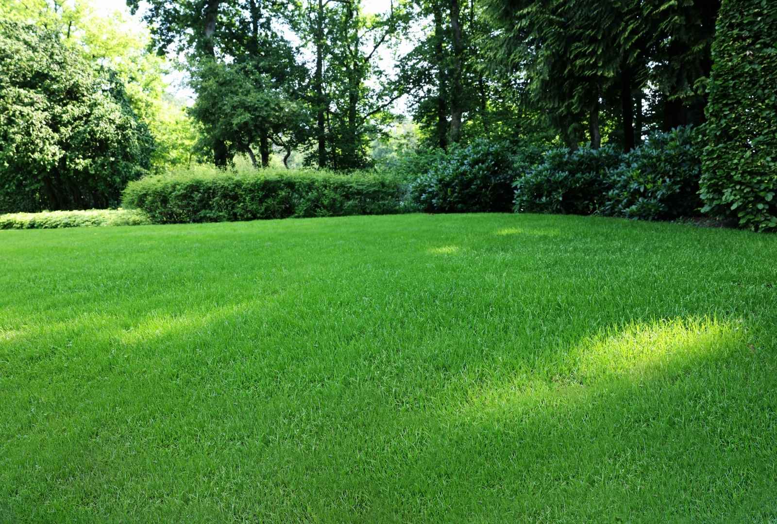 Lawn care services in Ogden