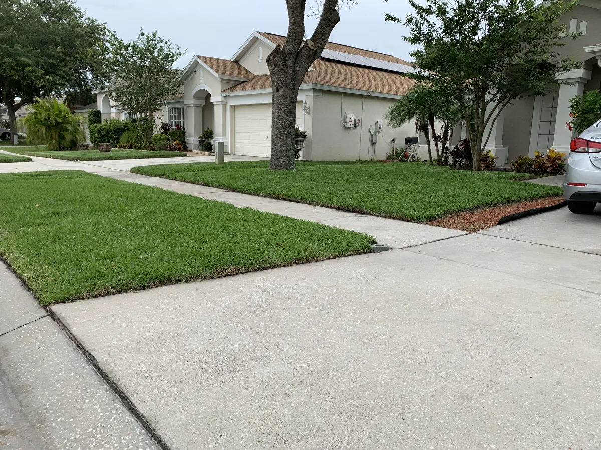 How Much Does Professional Lawn Care Cost in Riverview FL?