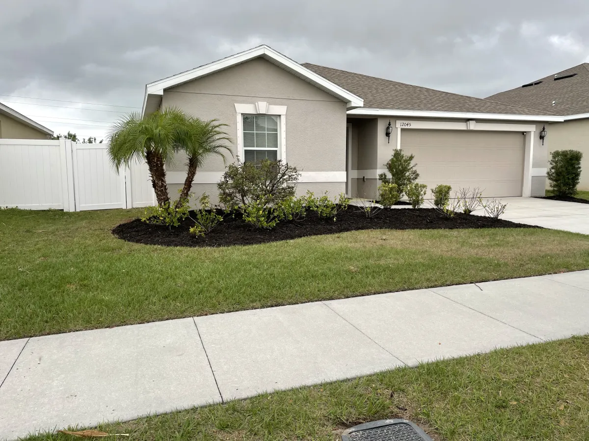 How to Protect Your Florida Lawn from Chinch Bugs and Pests