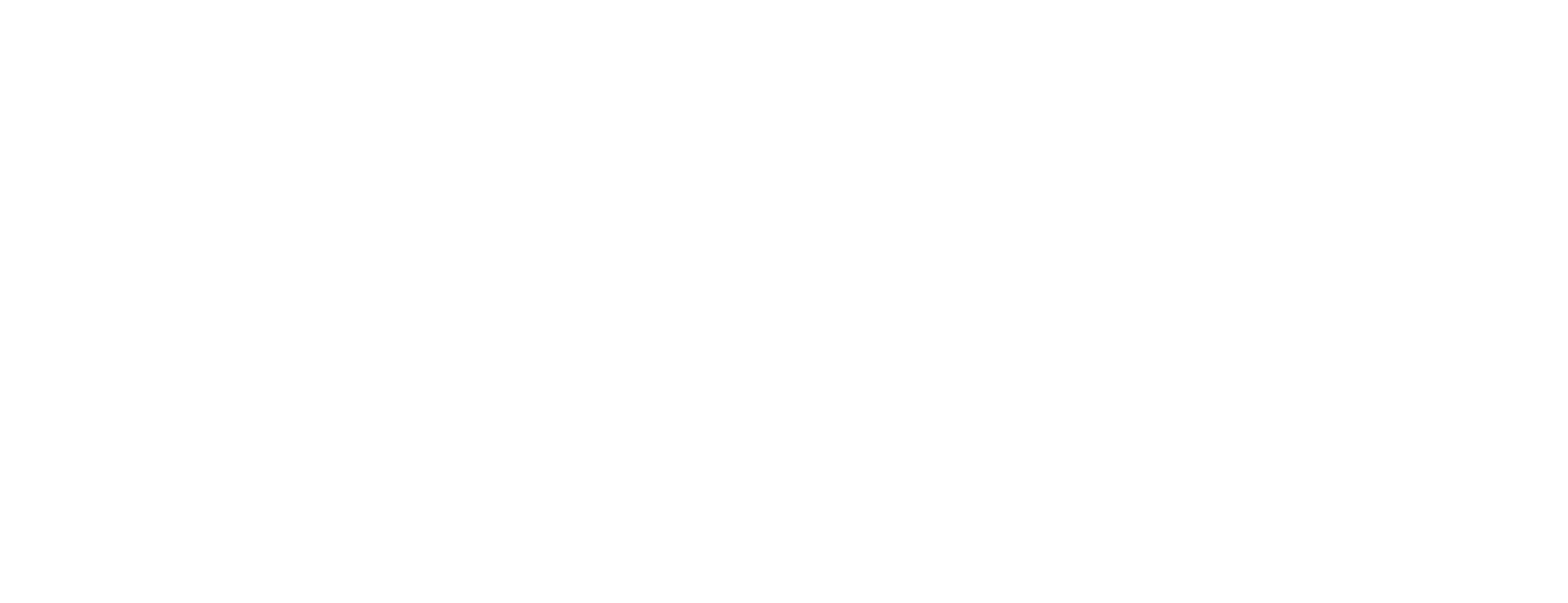 Coastal Yacht Protection Logo