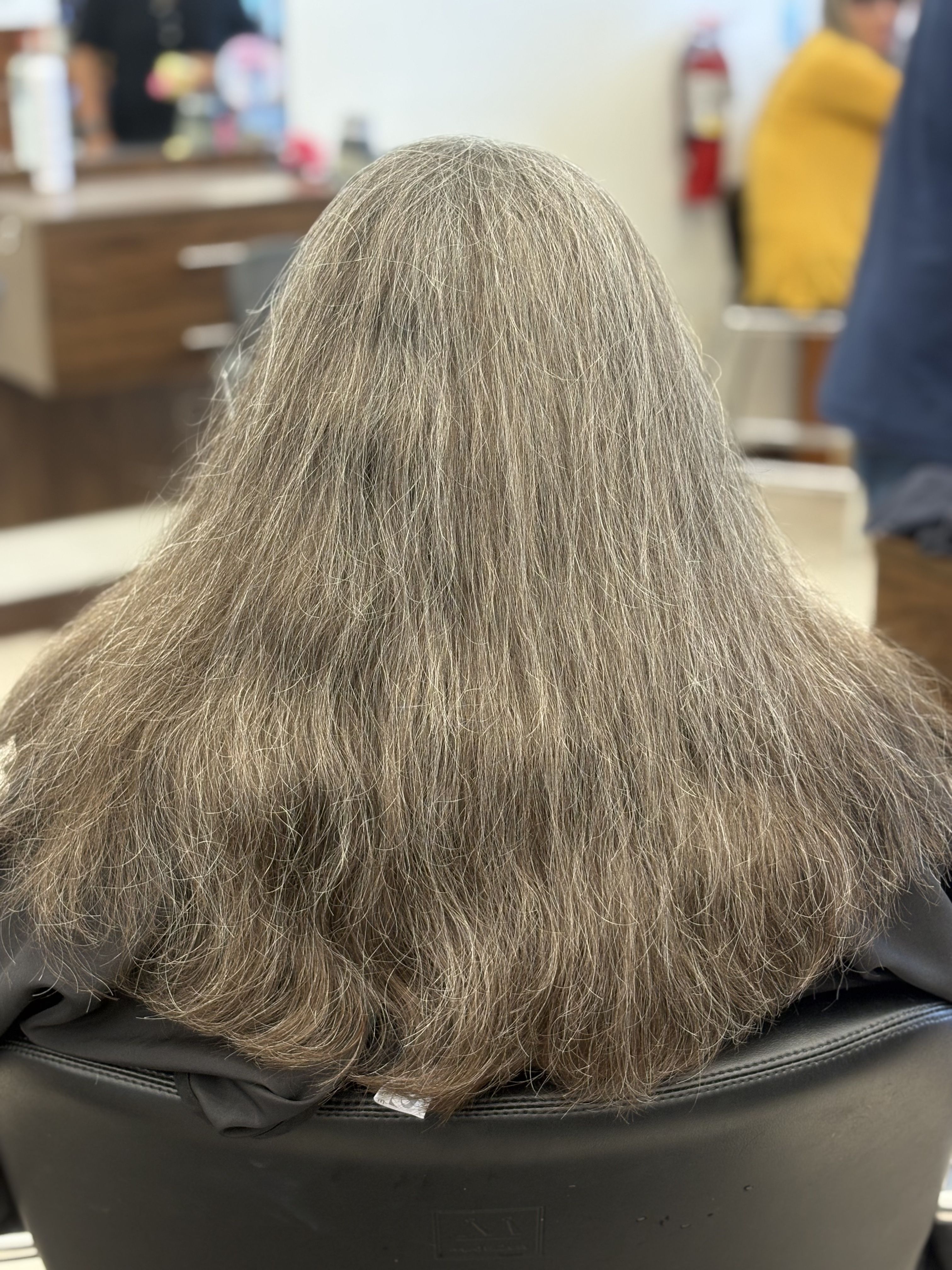 Before keratin treatment - frizzy hair back view
