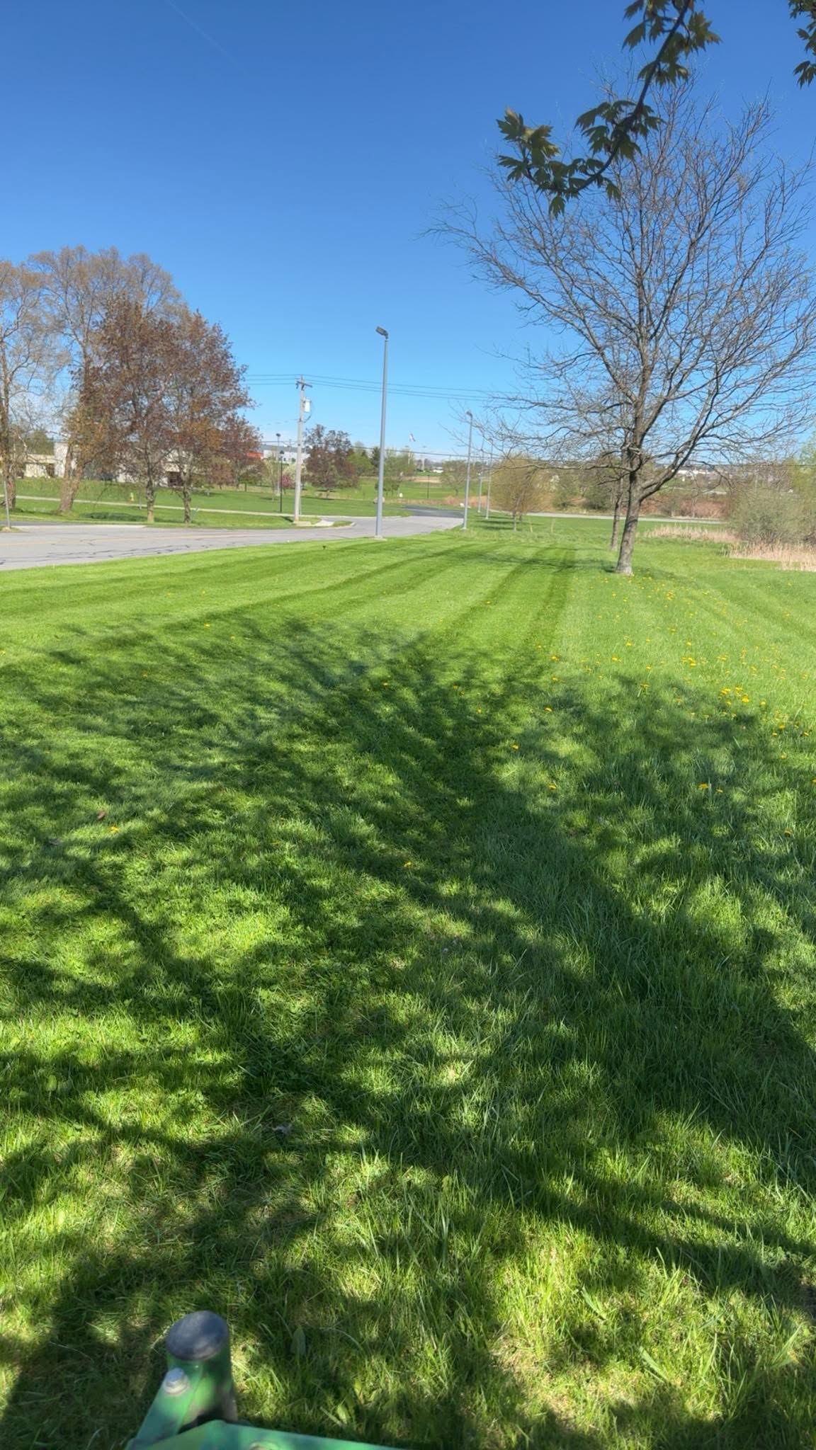 Beautifully striped lawn near road