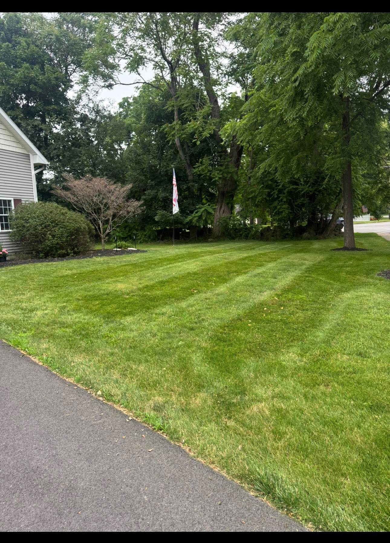 Freshly mowed lawn