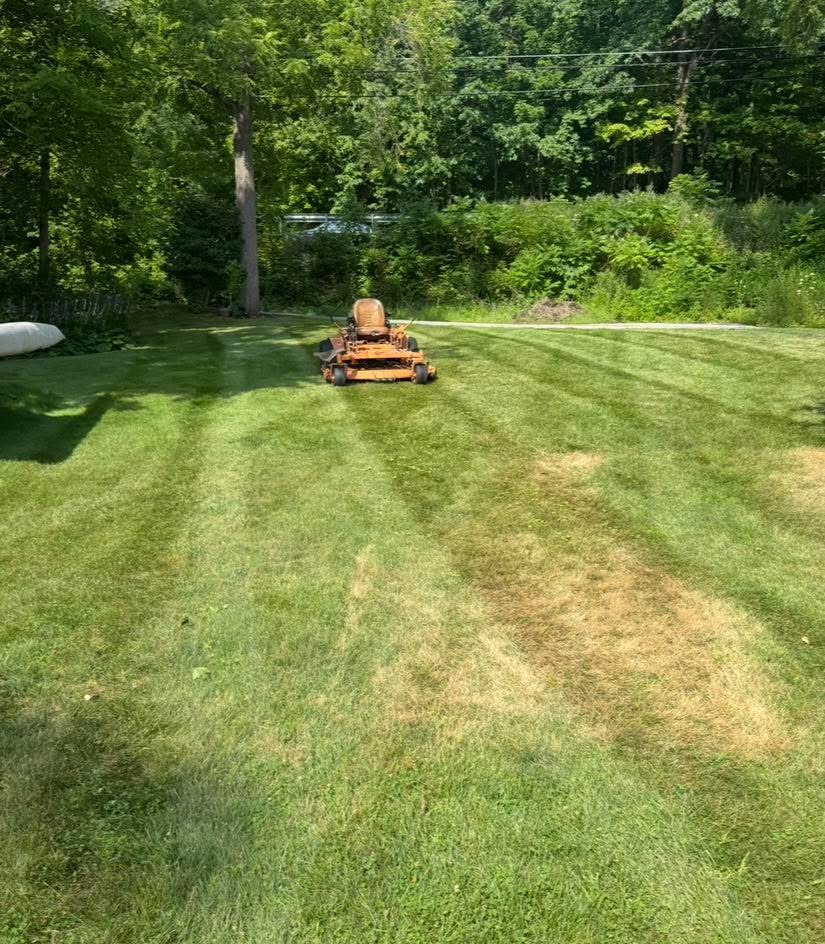 Beautifully striped lawn