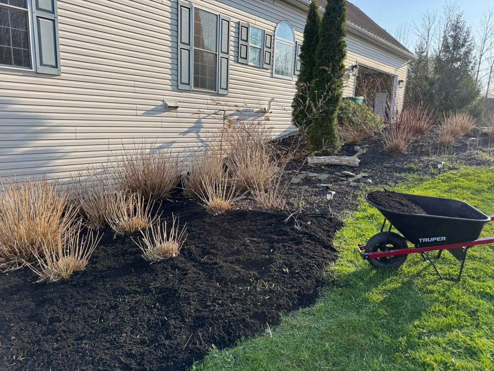 Fresh dark mulch spread around house foundation