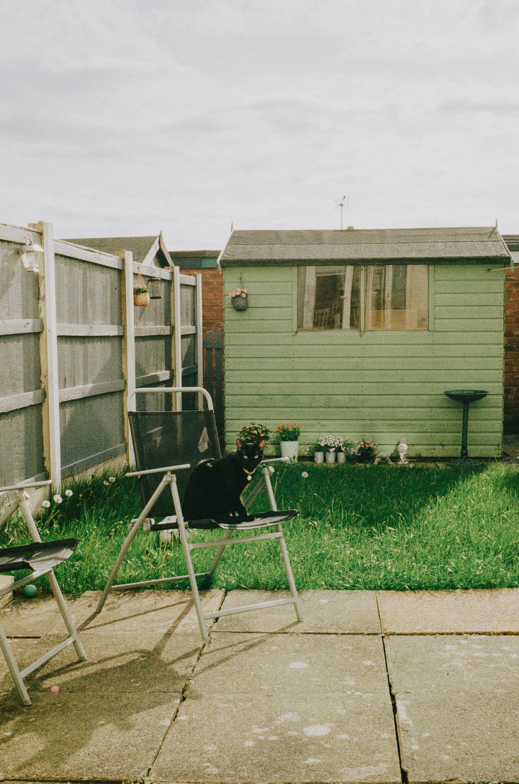 Beautiful UK fencing solution 11
