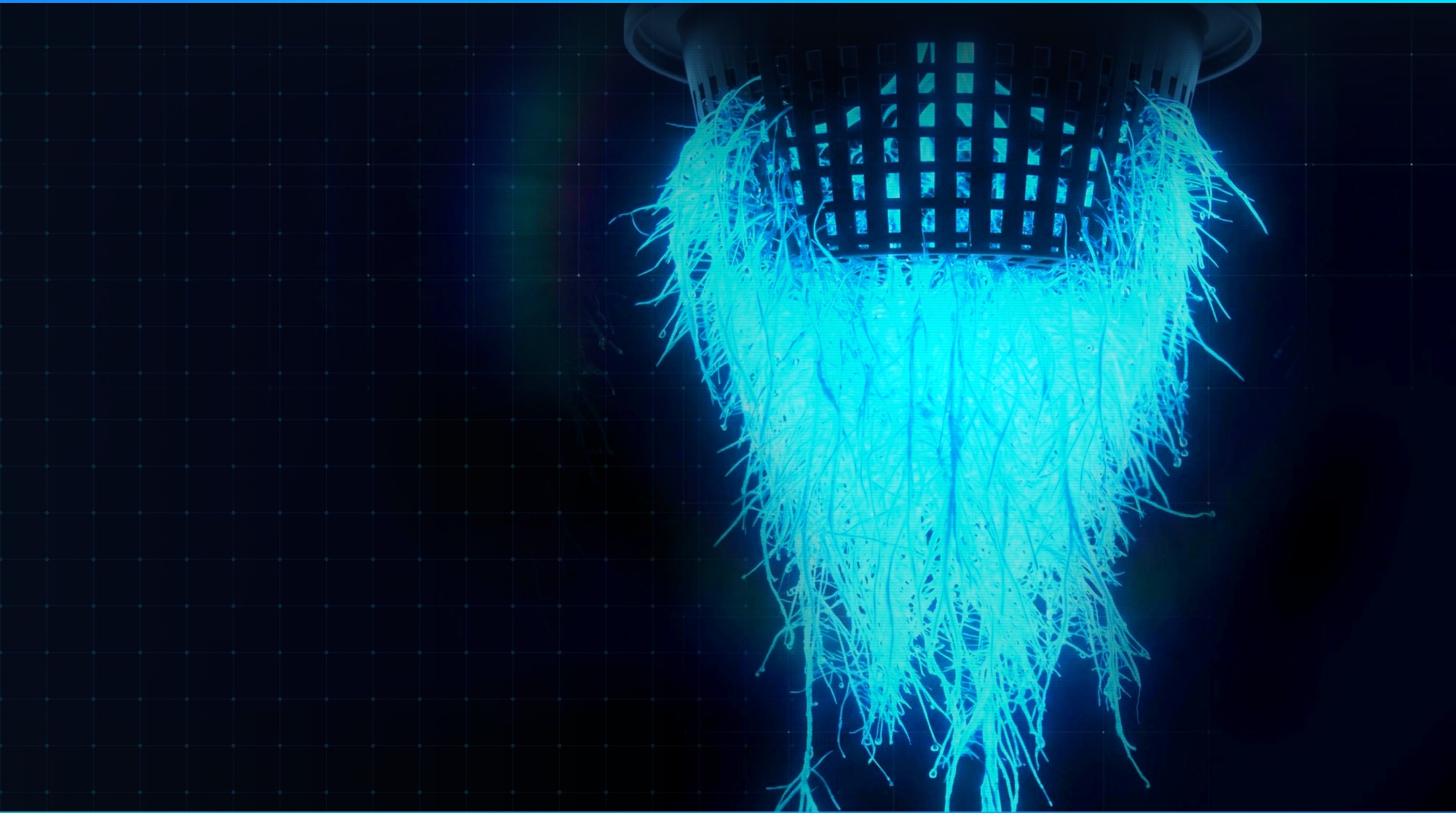 Glowing root system