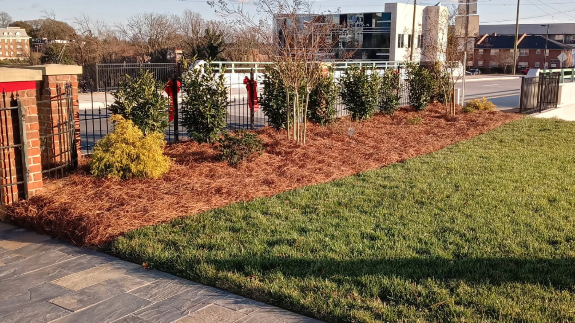 Landscaping in Lewisville