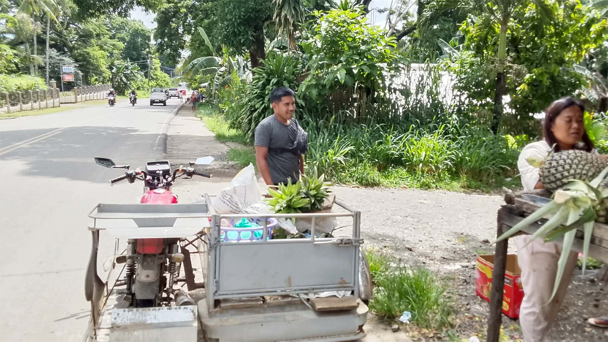 Pineapples loaded onto motorcycle cart for transport