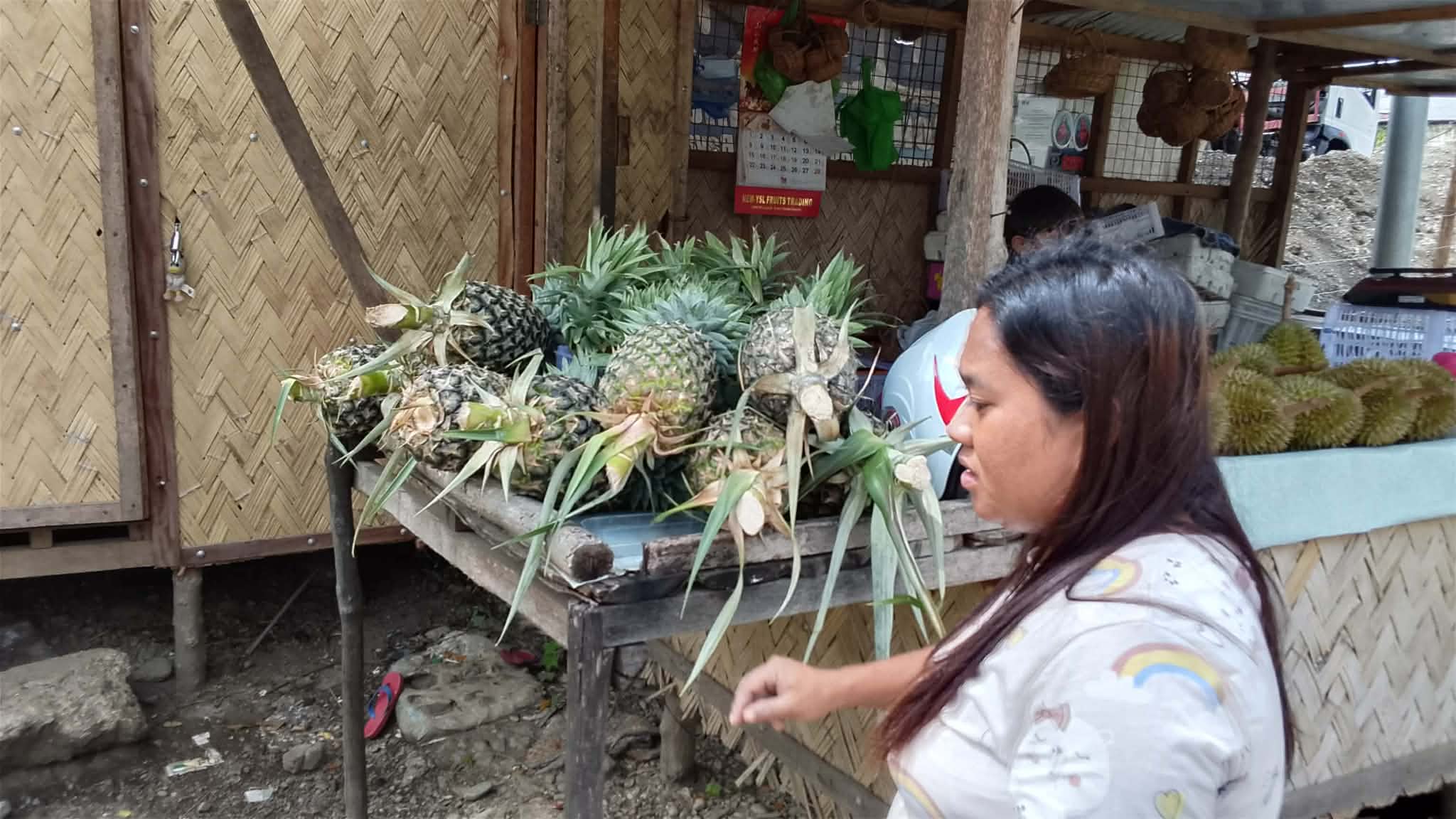 Palawan pineapple harvest brought to market