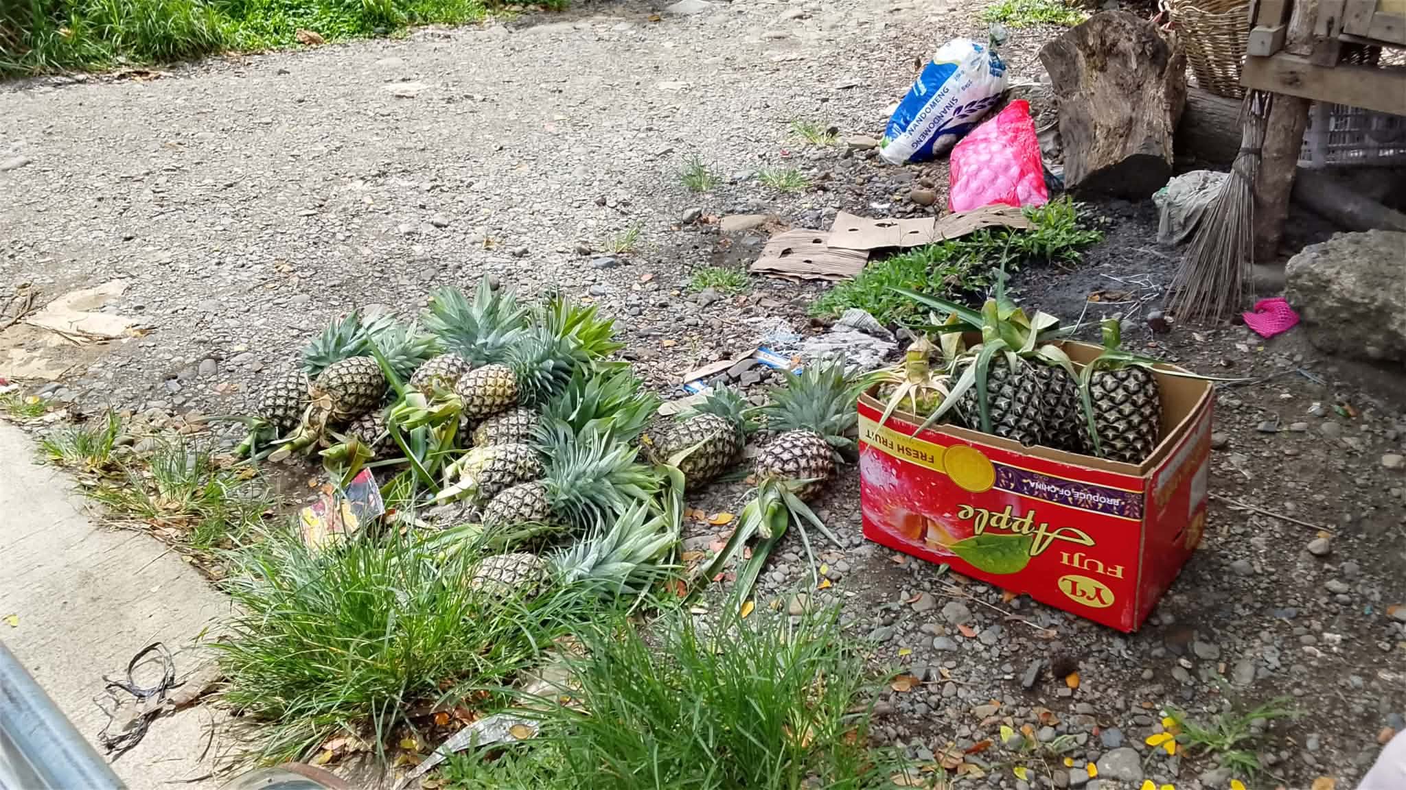 Freshly harvested pineapples gathered at Project LIFT