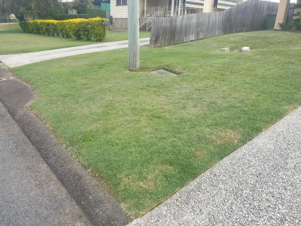 Trimmed nature strip with neat edges