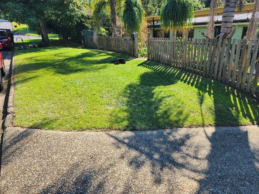 Mowed front yard with neat edging along the driveway