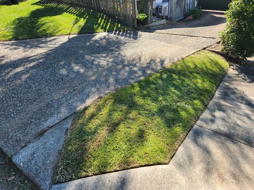 Freshly mowed lawn strip next to driveway