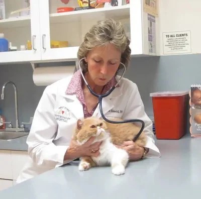 Dr. Lynn Fenwick