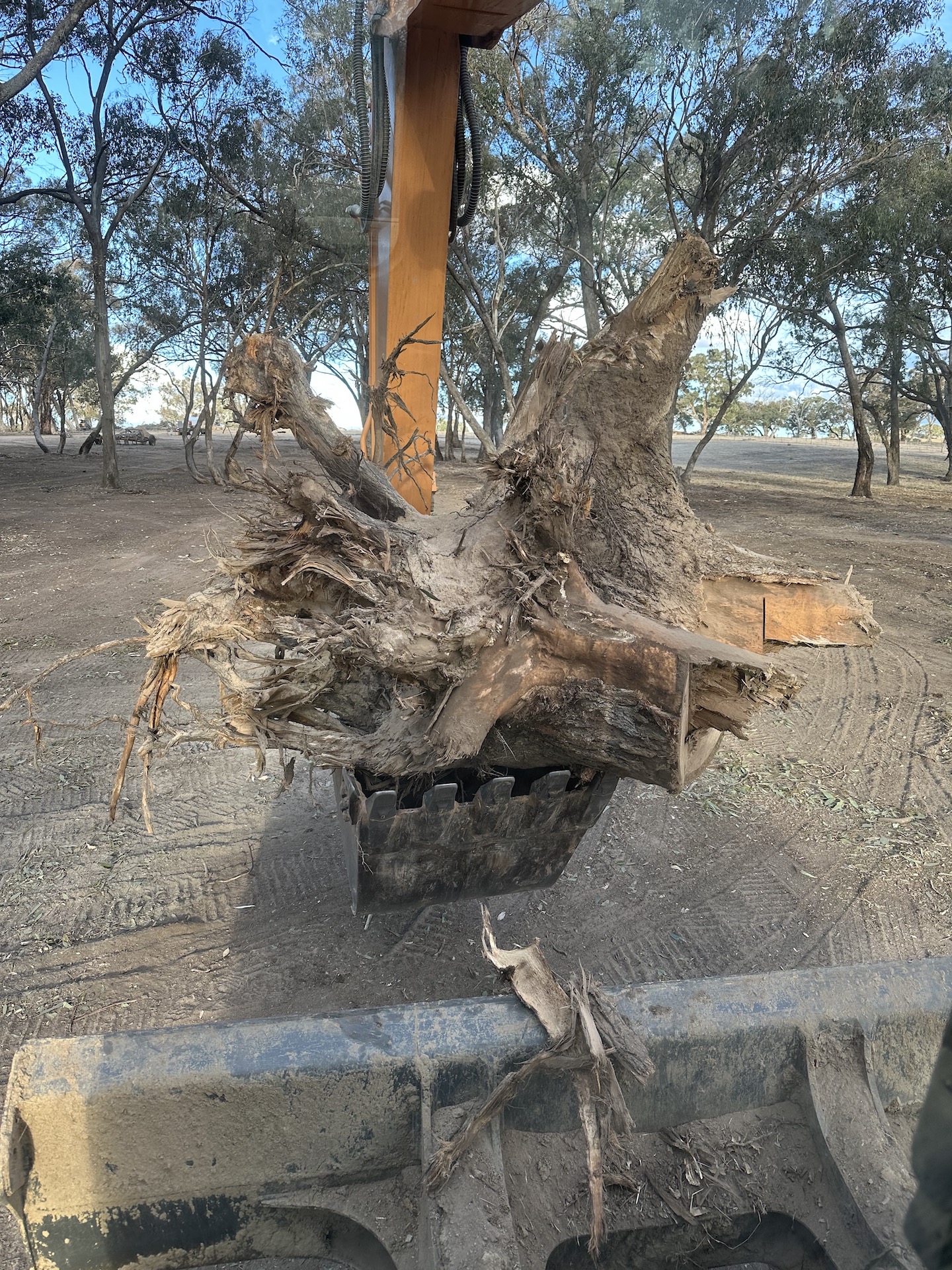 Landclearing & Fire Breaks Gallery Image 5