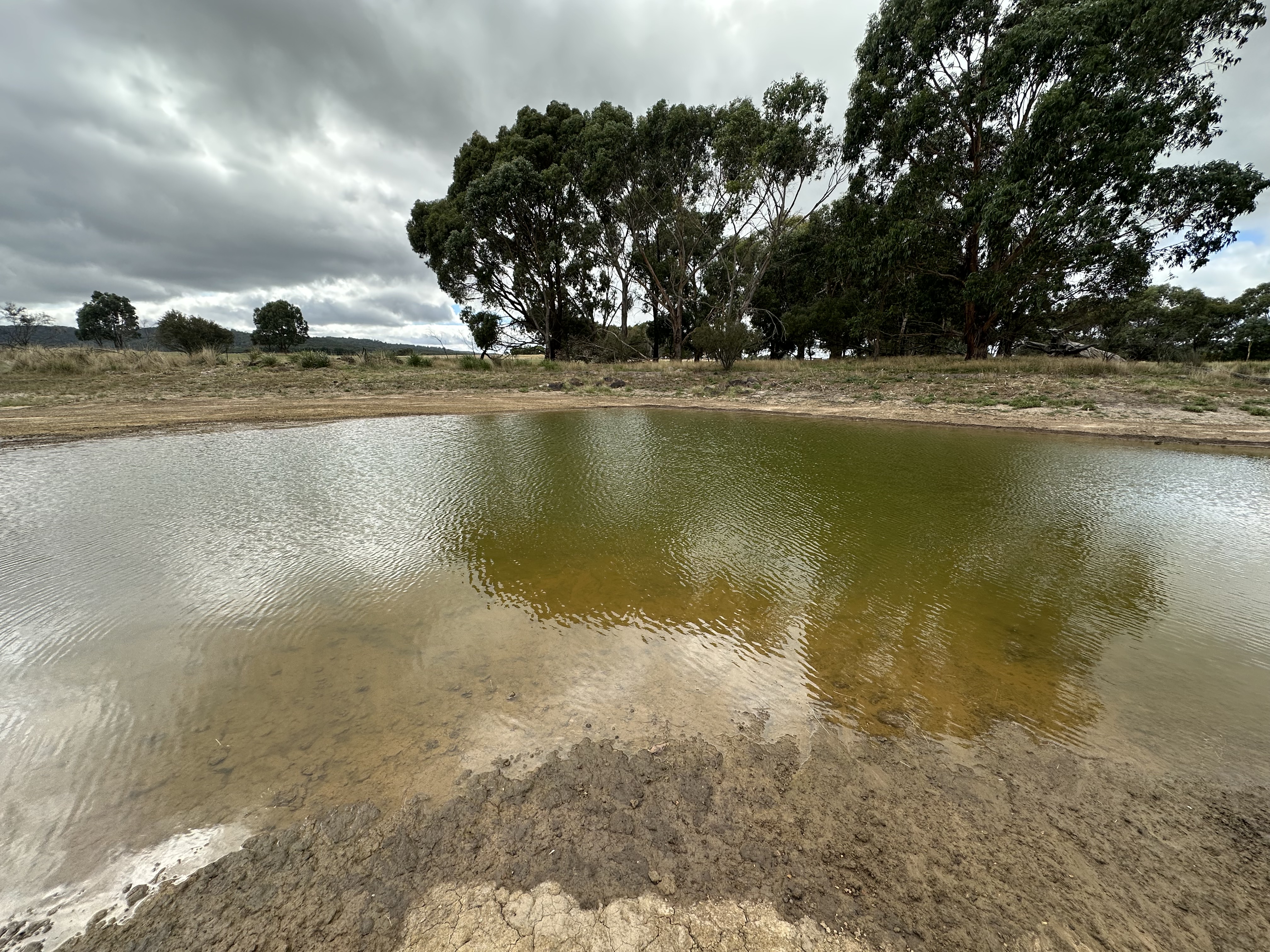Earthmoving site in regional Victoria