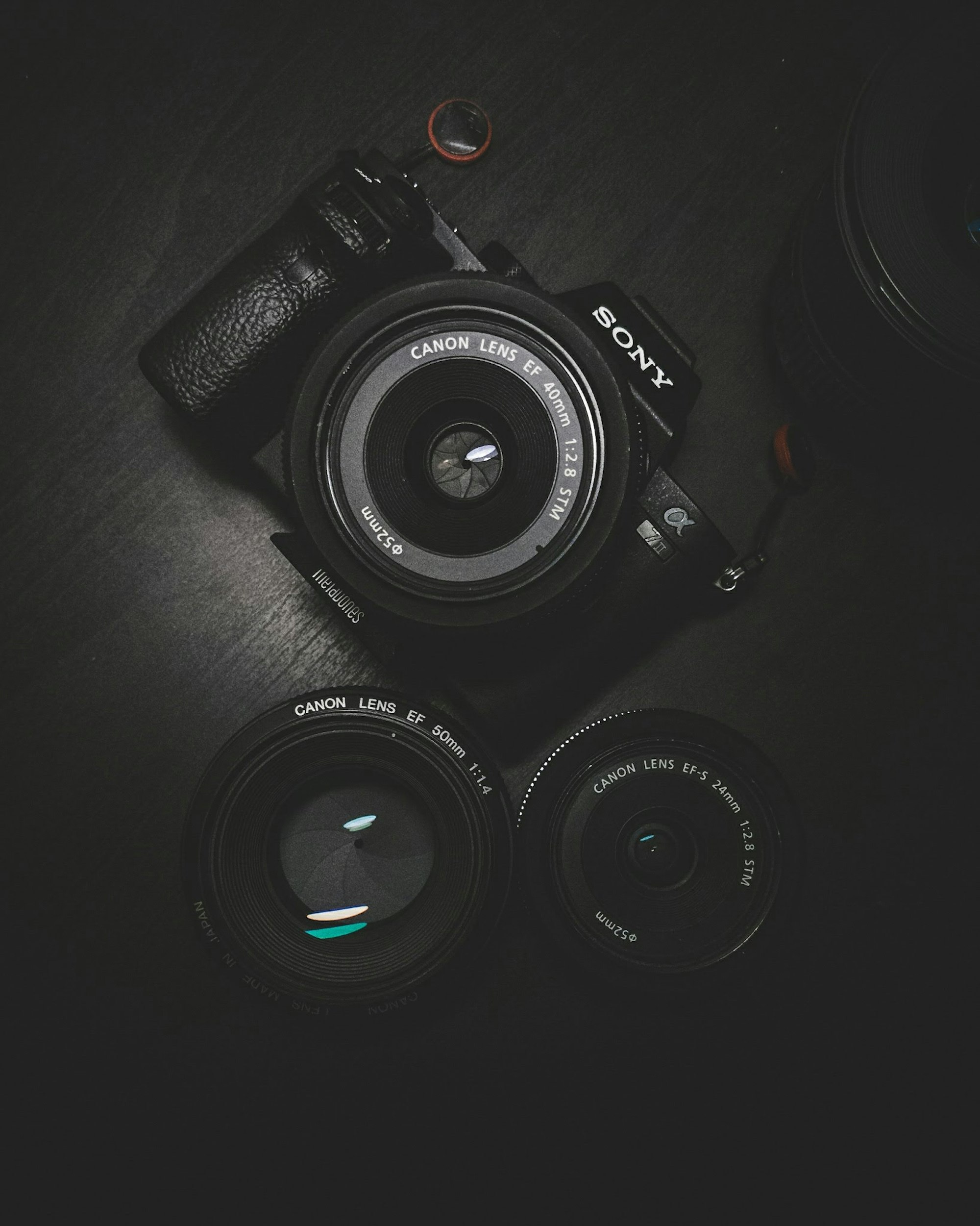 Professional Photography Services