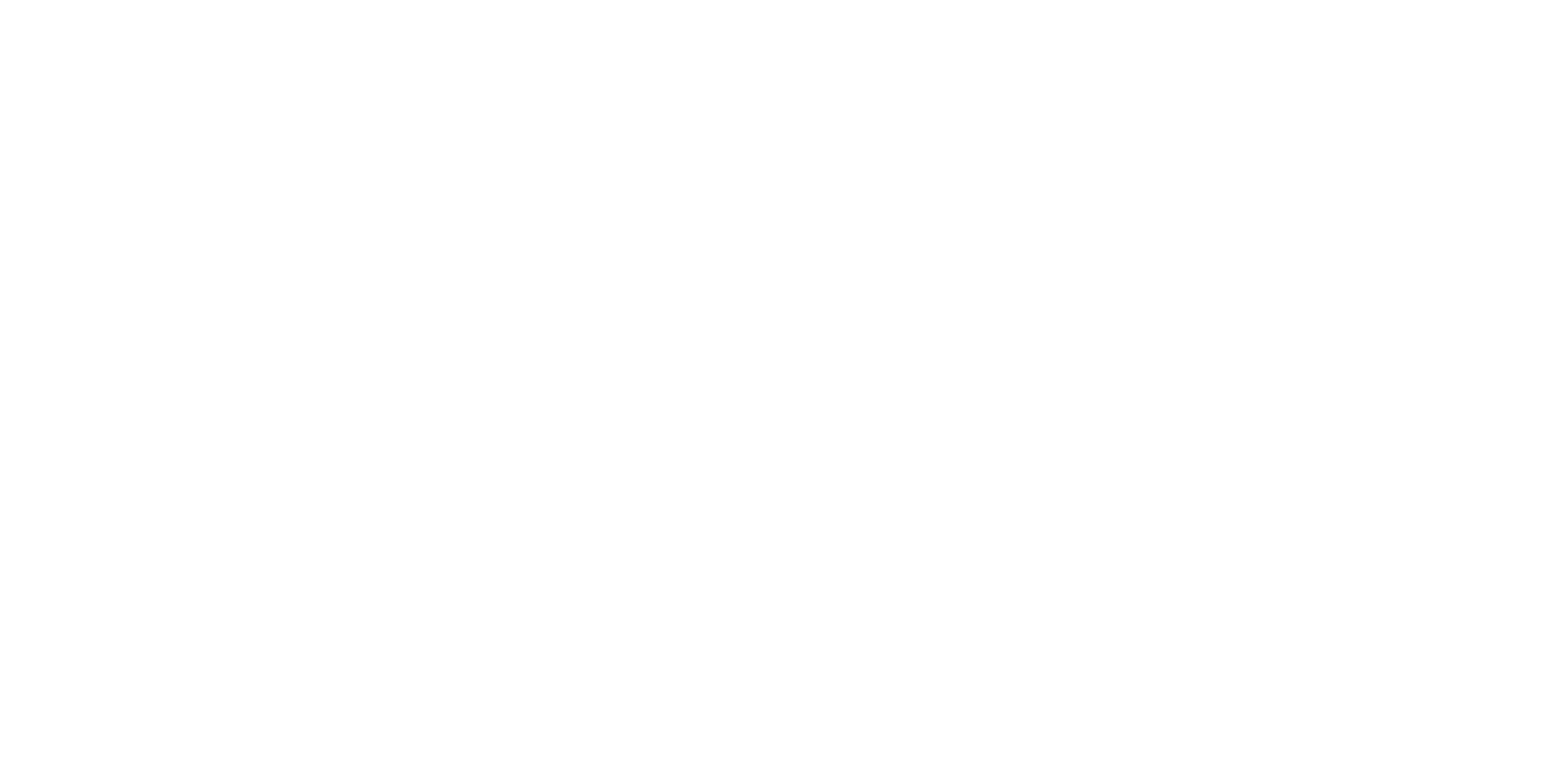 PIVAT Logo