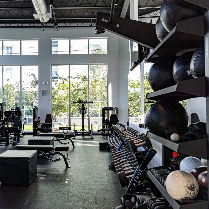 SoFloPT physical therapy treatment image 4